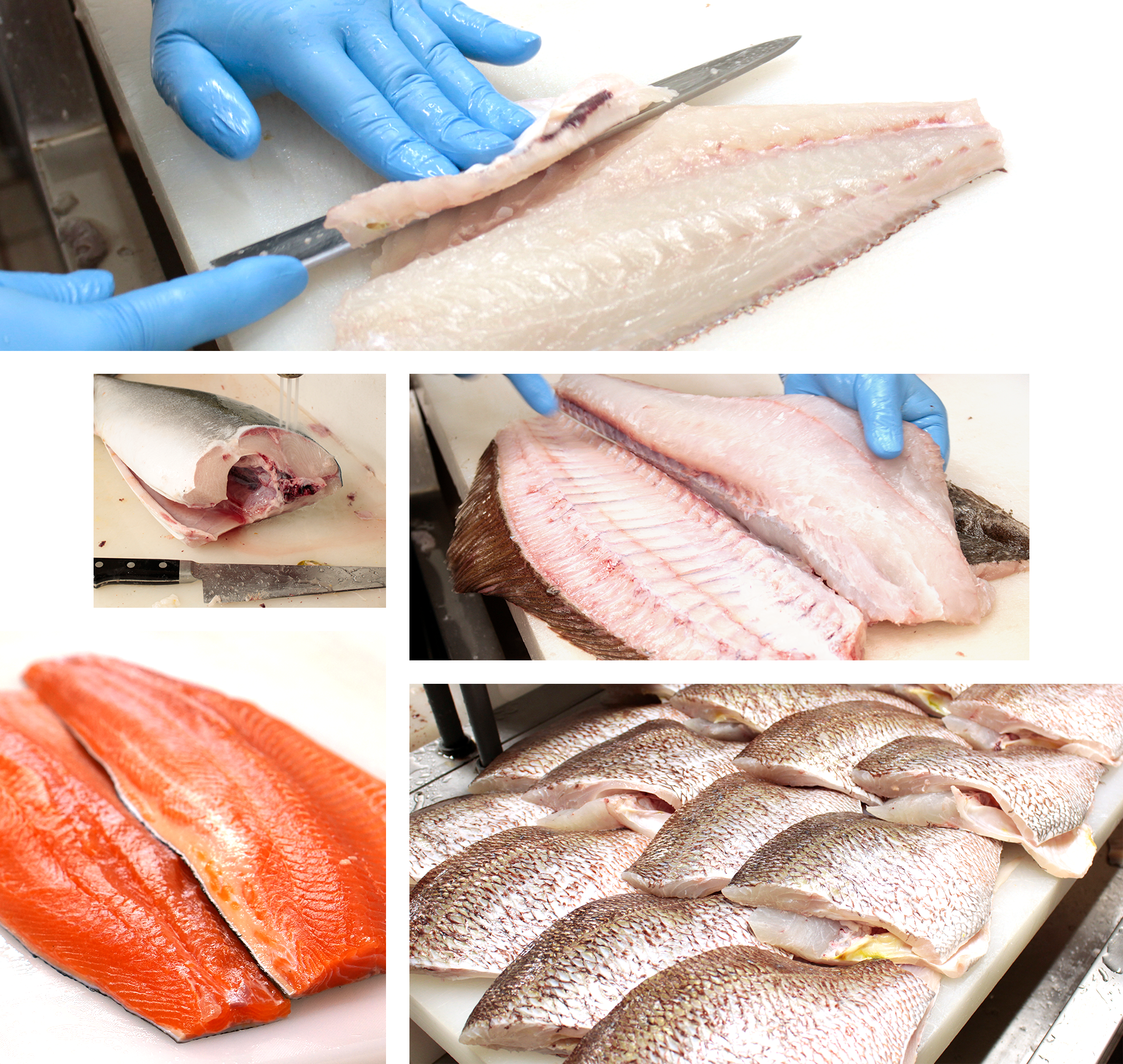 熟練の技術で魚を捌く様子